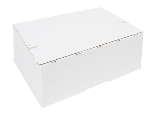 Postpakketbox IEZZY 4, 305x215x110mm, wit