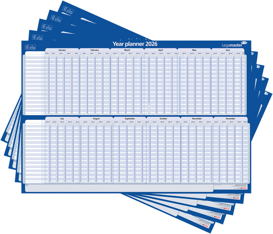 Projectplanner 2025 LM 90x60cm gelamineerd en ophangbaar