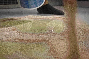 Absorptiekorrels Easy Absorb Fijn voor Vlekken en Gemorste Vloeistoffen - 2