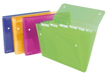 Sorteermap Rexel Ice 6 Tabs Assorti
