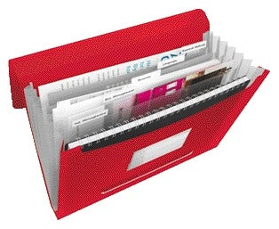 Vivida Projectmap PP Rood met 6 vakken en tabs
