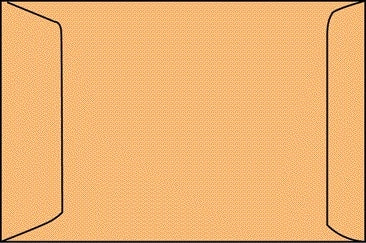 Envelop Akte IEZZY 250x350mm Zelfklevend Bruin 90g/m² (Gerecycled) - 2