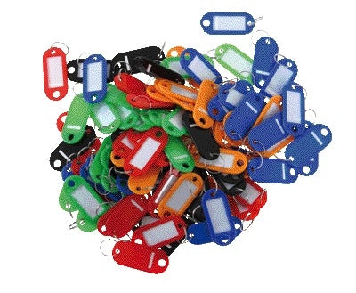 Pavo Plastic Sleutellabel met Beschrijfbaar Label en Dubbele Ring