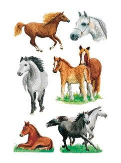 HERMA Paarden rassen stickers voor decoratie