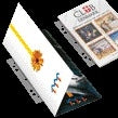 Dossierstrip Djois Filestrip A4 2/4 Ringen 100 stuks